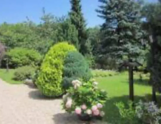 Hotel W Wolfsschlucht *